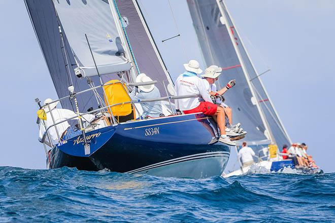 2015 SPS - Komatsu Azzurro © Saltwater Images